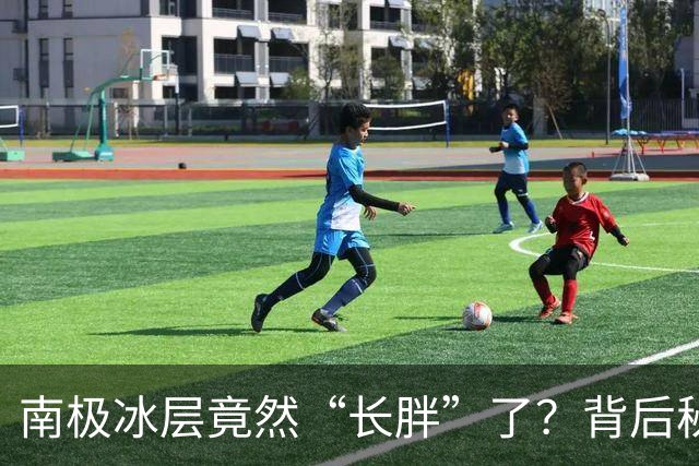 南极冰层竟然“长胖”了？背后秘密大揭秘！